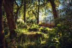 Quels droits en cas d’implantation d’un immeuble voisin ?